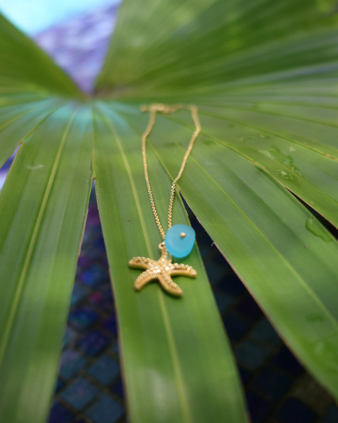 Starfish Dream
