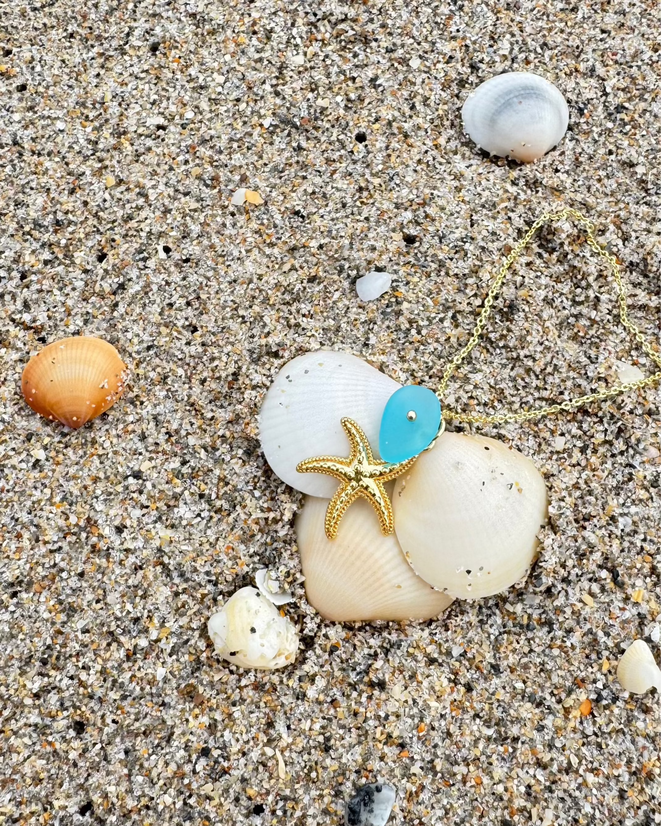 Starfish Dream