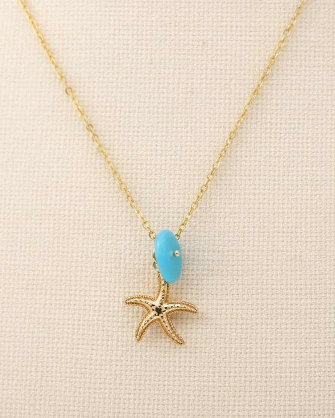 Starfish Dream