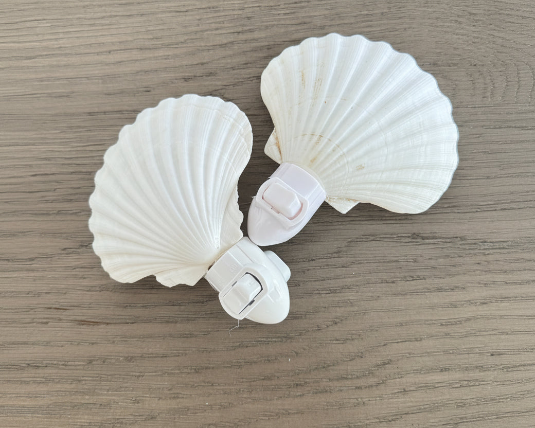 Shell Night Light