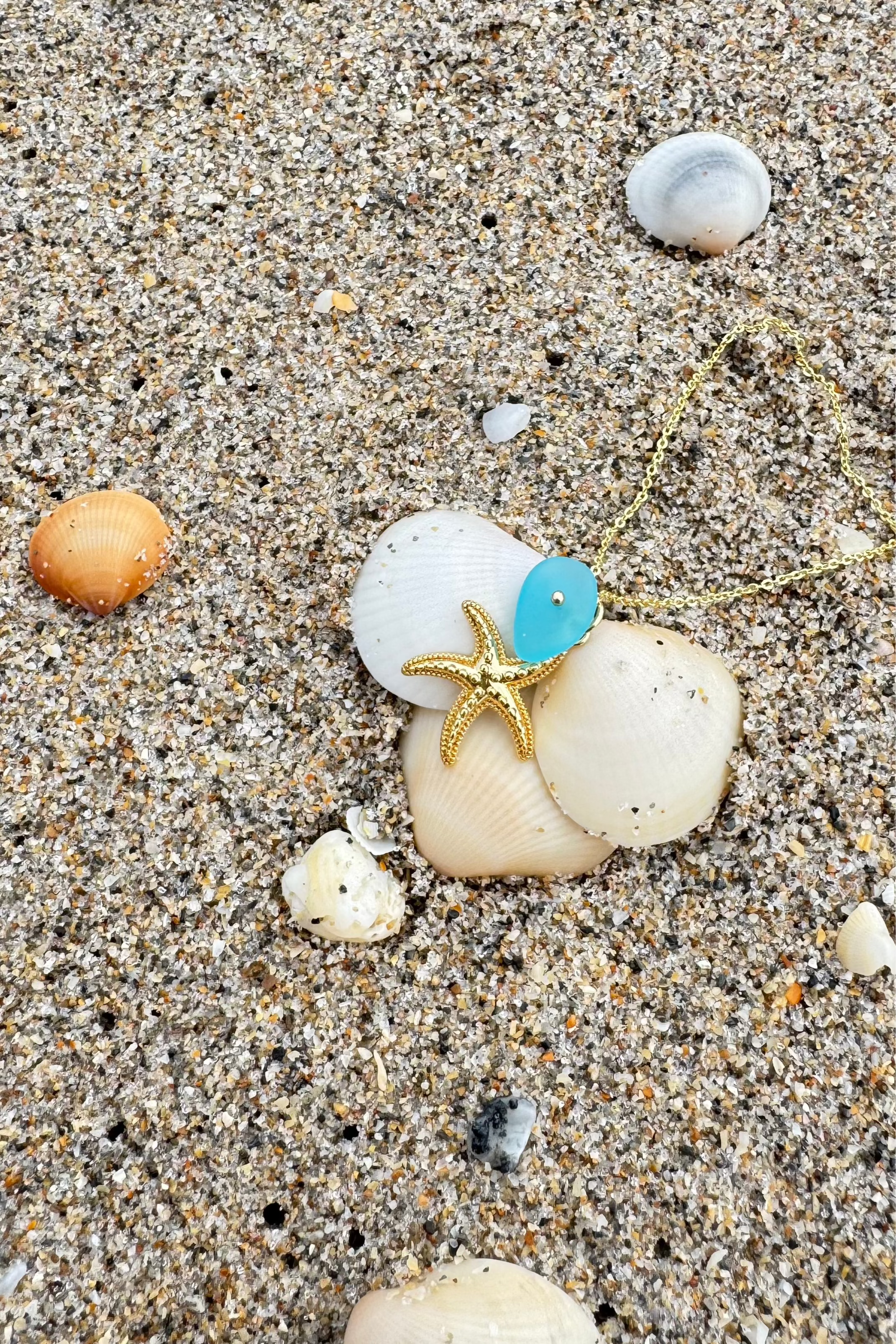 Starfish Dream