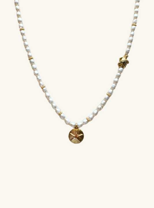 Golden Coast Necklace