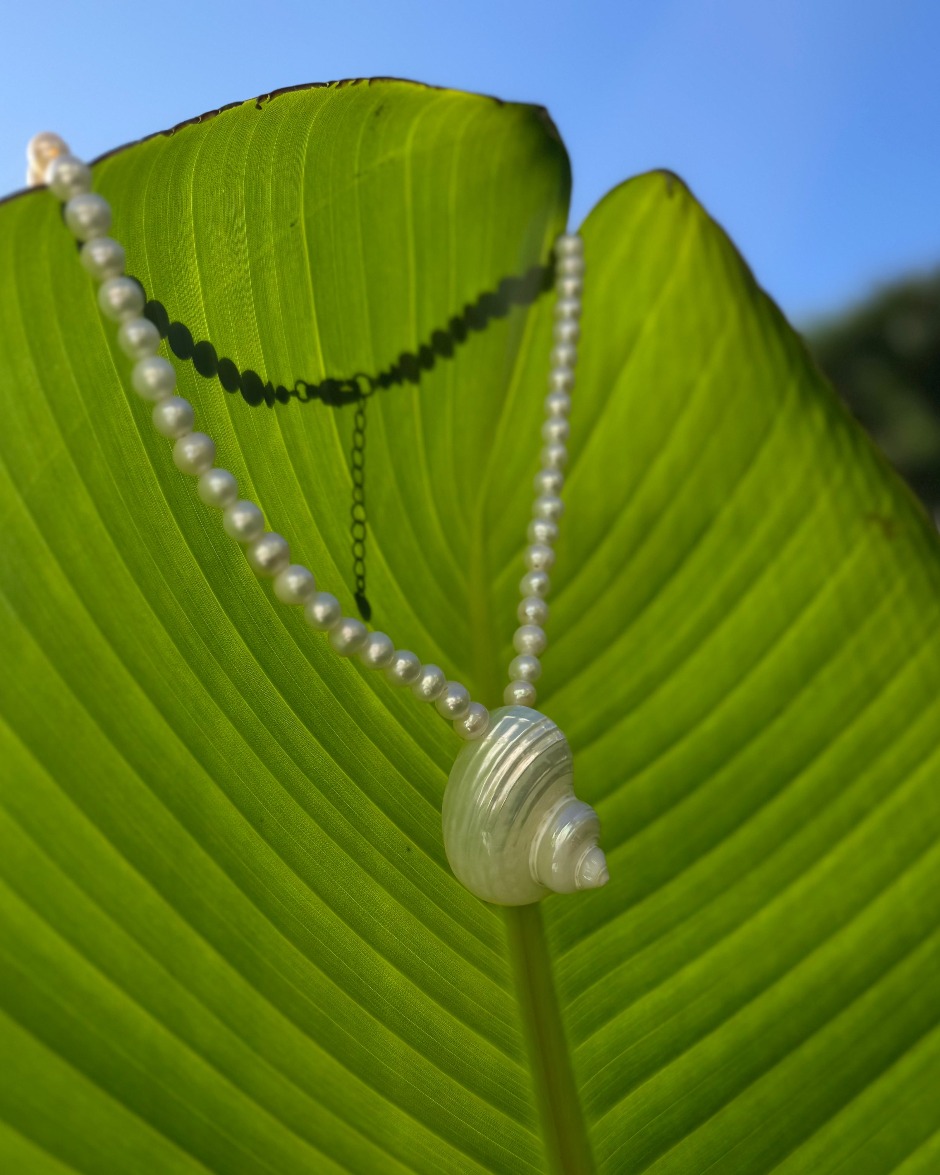 Vanessa Pearl Necklace